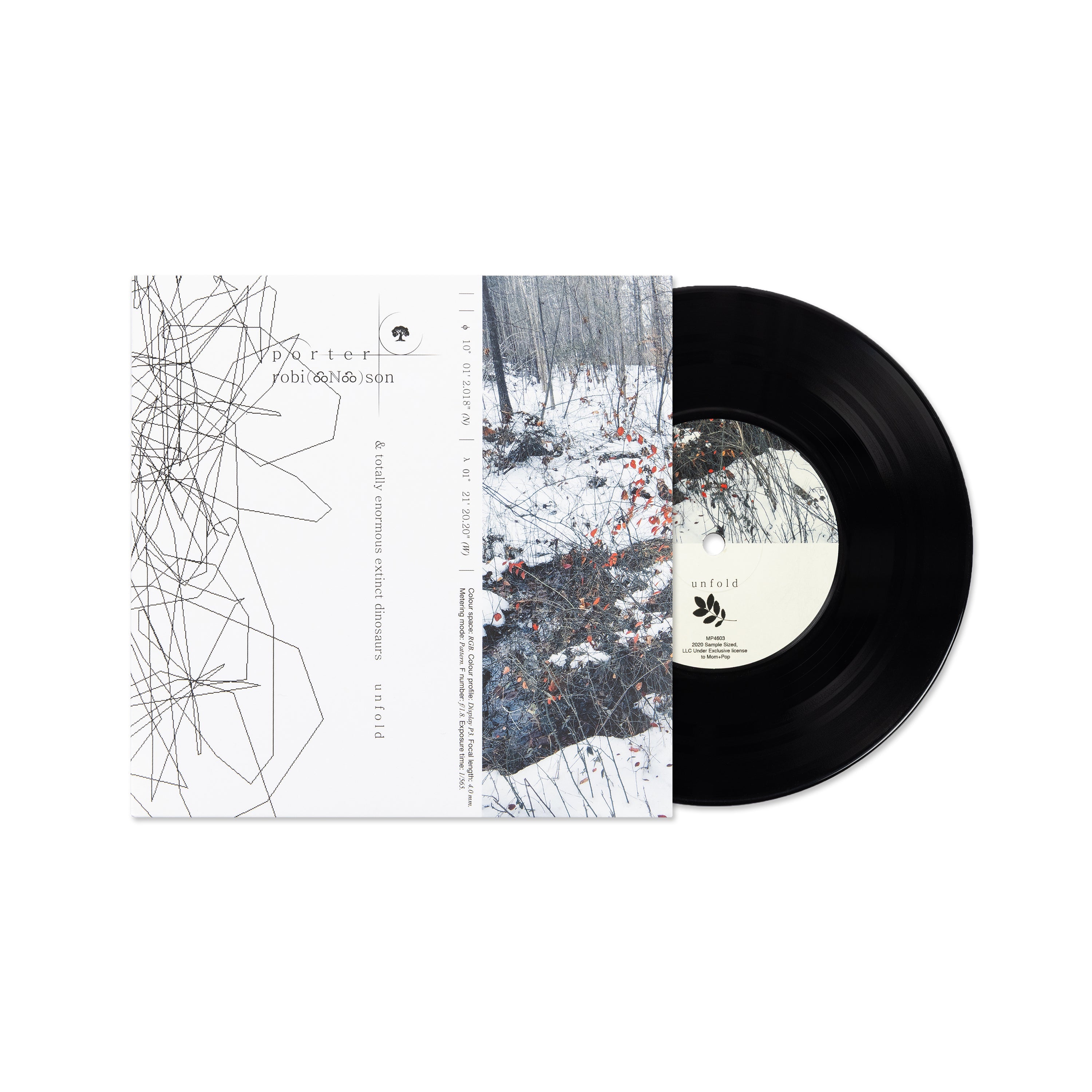 unfold 7" vinyl
