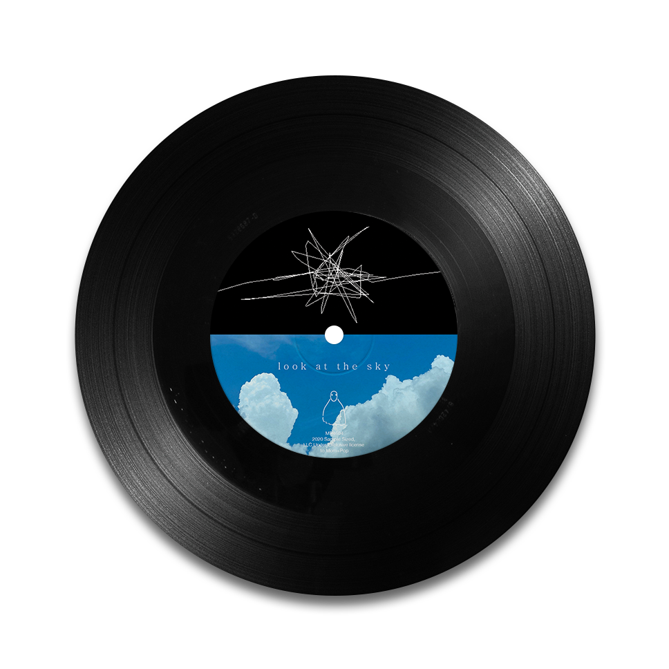 look at the sky 7" vinyl