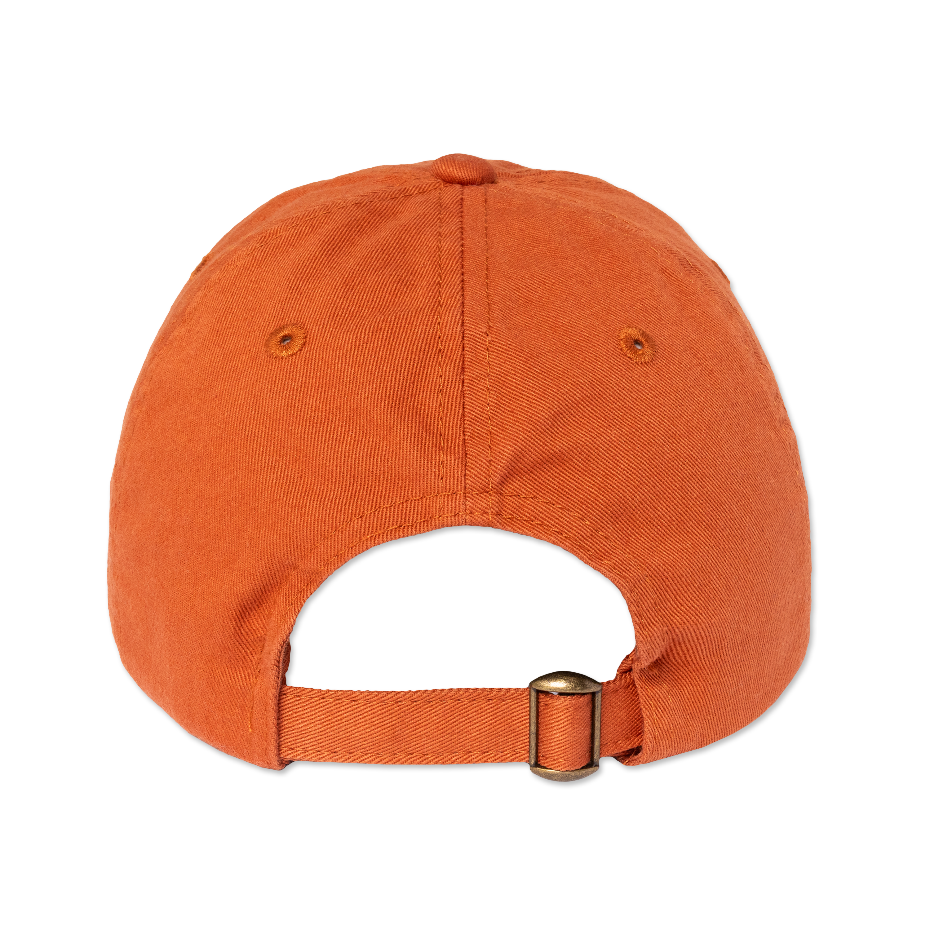 This Never Happened Dad Hat