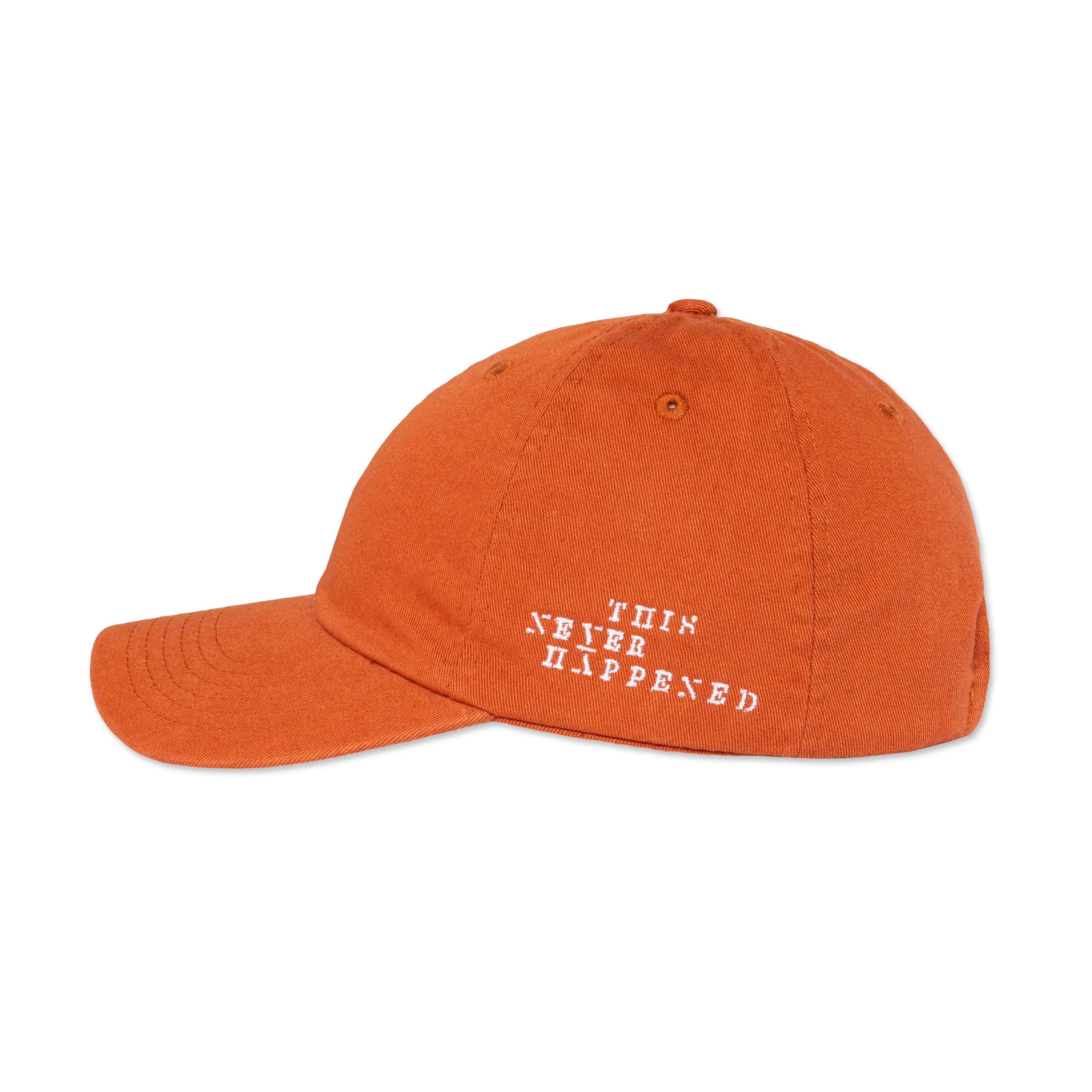 This Never Happened Dad Hat