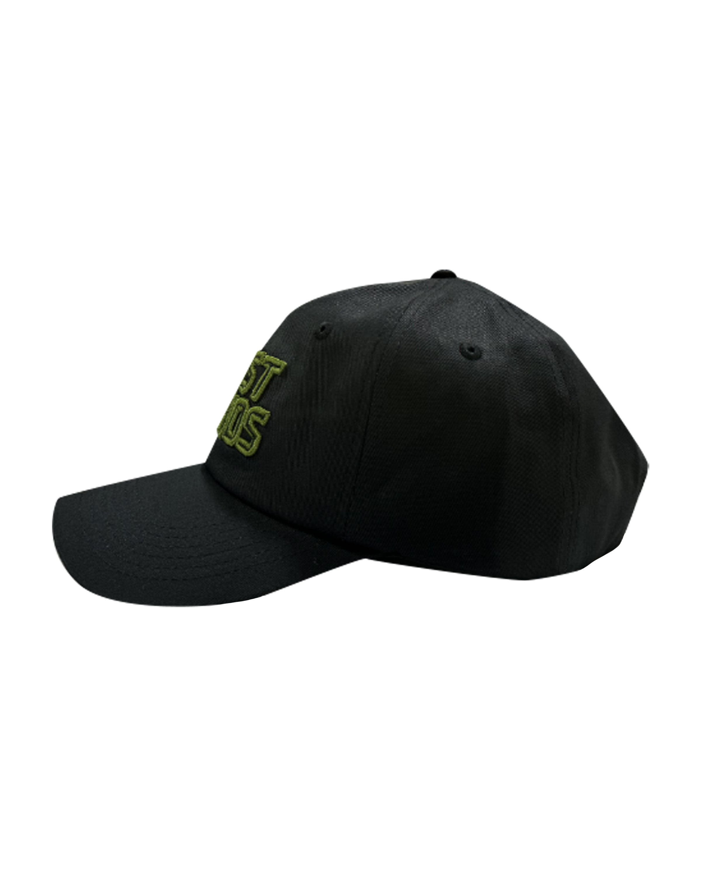 Lost Lands 2024 Dad Hat (Black)