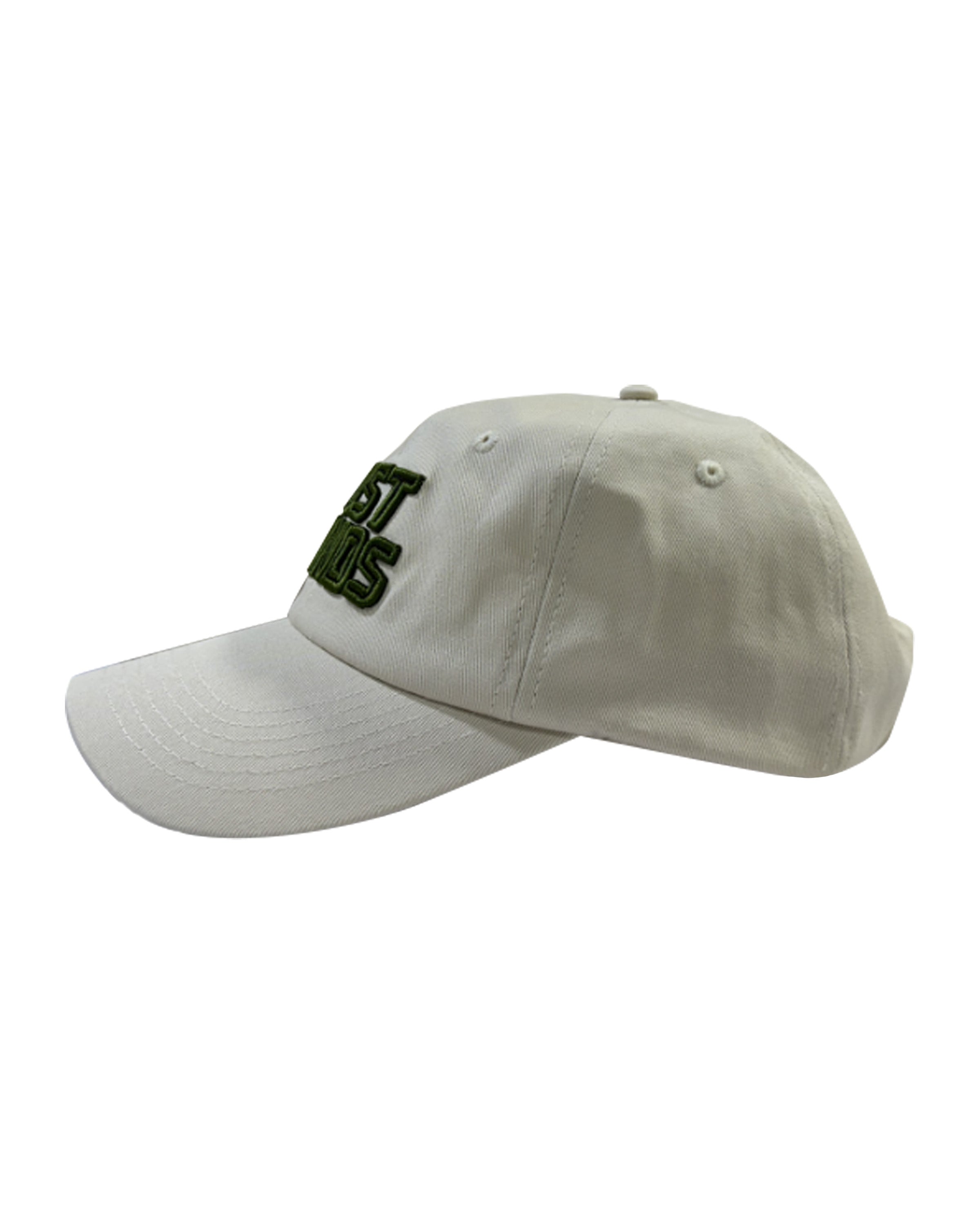 Lost Lands 2024 Dad Hat (Tan)