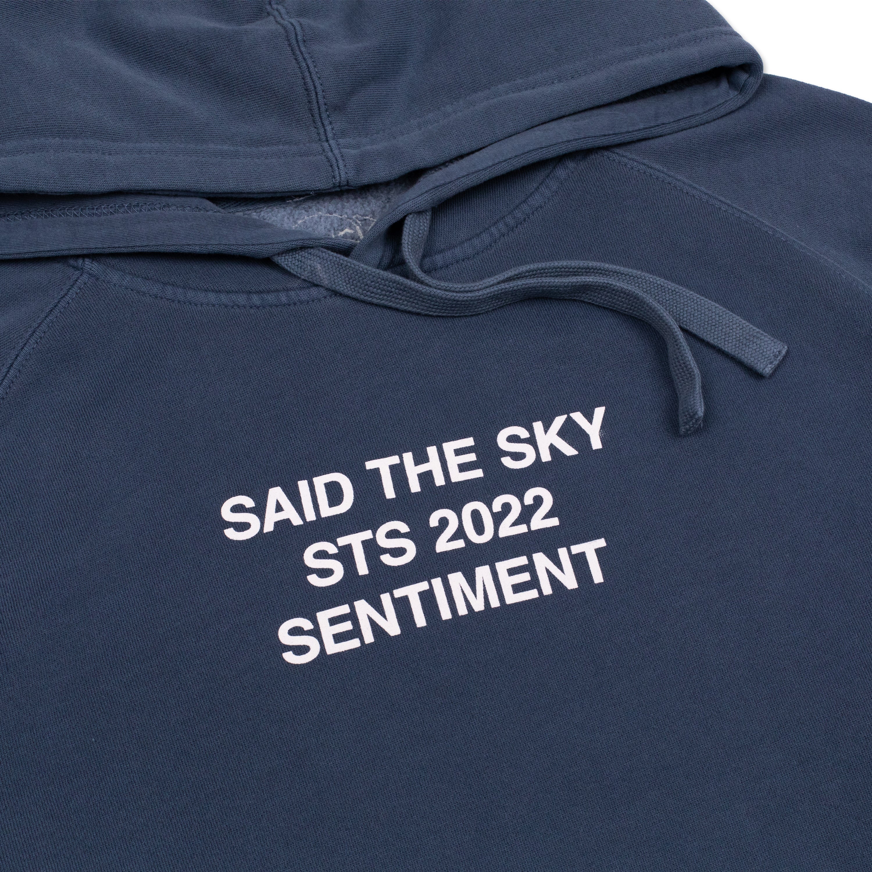 Sentiment Sadboi Hoodie - Hoodie -  Said the Sky-  Electric Family Official Artist Merchandise