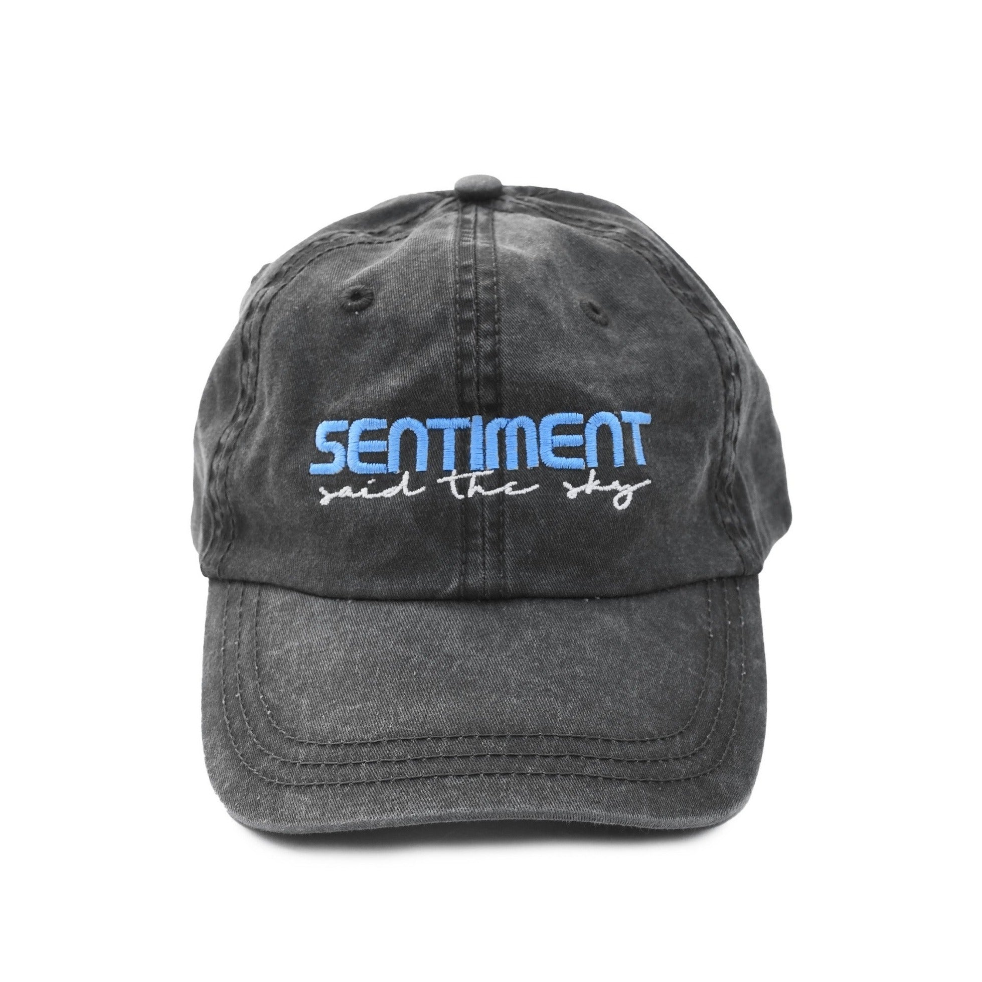 Sentiment Tour Dad Hat - Dad Hat -  Said the Sky-  Electric Family Official Artist Merchandise