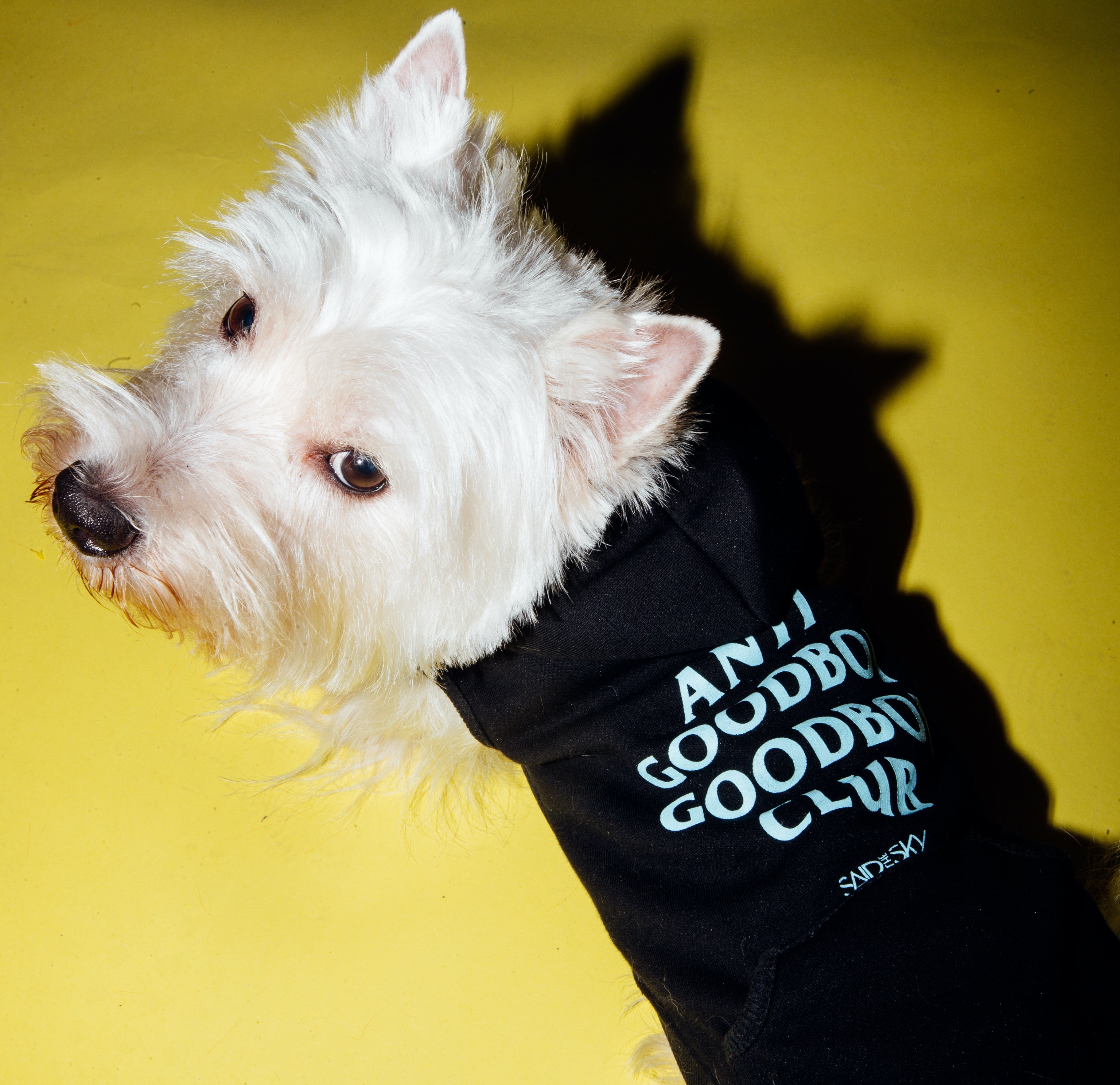 Goodboi Dog Hoodie - Dog Hoodie -  Said the Sky-  Electric Family Official Artist Merchandise